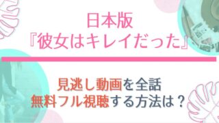 彼女はキレイだった日本版の見逃し動画を1話から無料視聴する方法は?再放送配信予定も紹介!