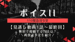 ボイスⅡ見逃し動画配信を1話から無料視聴する方法は?再放送予定も紹介!