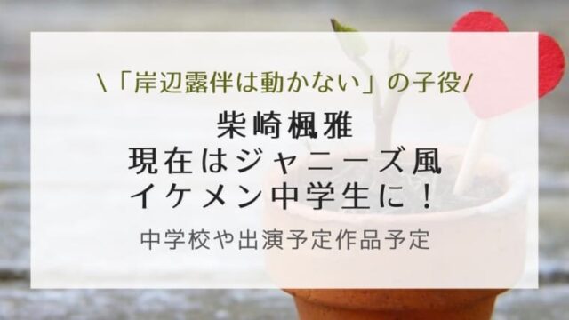 柴崎楓雅の現在はジャニーズ風のイケメン中学生 中学校や出演予定作品予定も調査 はれはれchannel