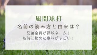 スポーツ はれはれchannel