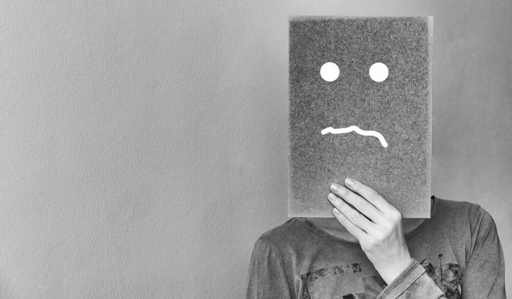 婚姻届に判を捺しただけですが原作ネタバレあらすじ!偽装夫婦の結末は?