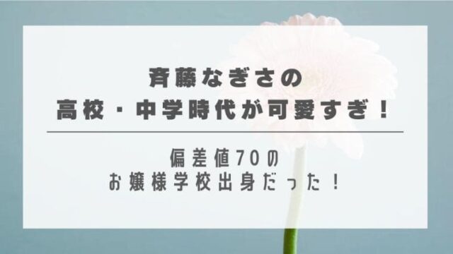 斉藤なぎさの高校 中学時代が可愛すぎ 偏差値70のお嬢様学校出身だった はれはれchannel